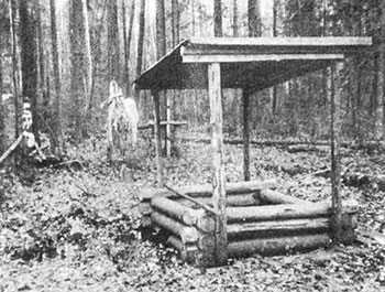 Никандрова пустынь. Источник прп. Никандра. Фото 1992 г.
